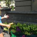 New Gardening Team - 2021