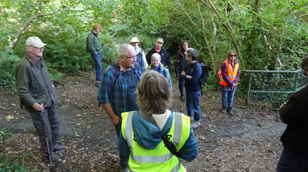 IOW Walking Festival 2021 - Shanklin Coast to Country