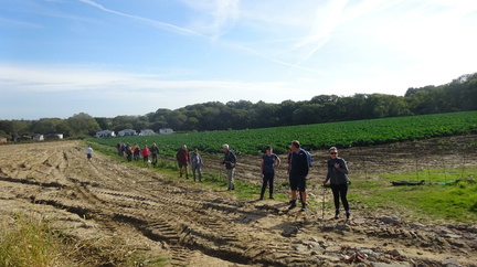 IOW Walking Festival 2021 - Sunshine and Shade of Shanklin