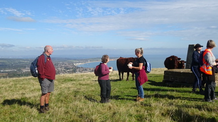 IOW Walking Festival 2021 - Sunshine and Shade of Shanklin
