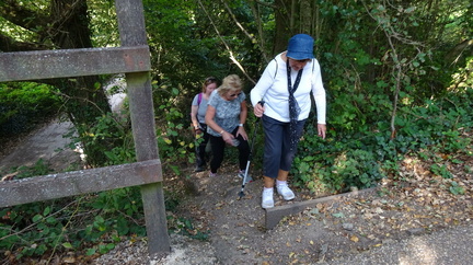 Fundraising walk 2020