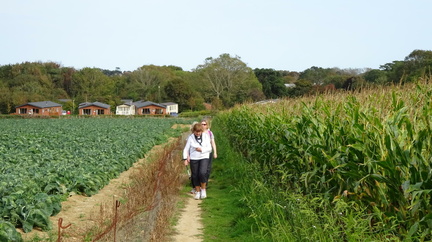 Fundraising walk 2020