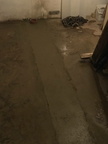 IMG 4828