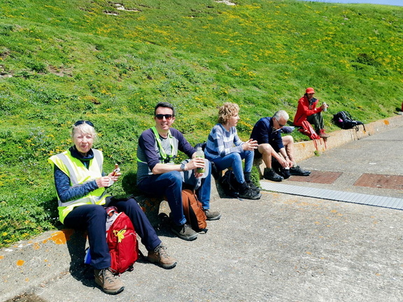 7 Wonders Walk - ‘Needles you cannot thread’