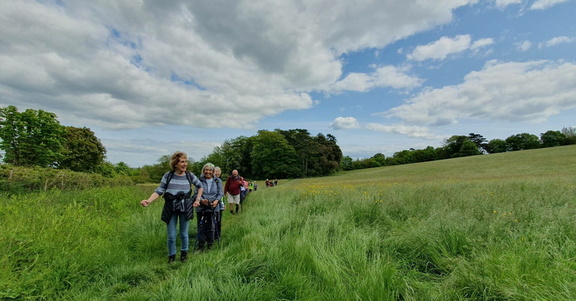 7 Wonders Walk - ‘Needles you cannot thread’