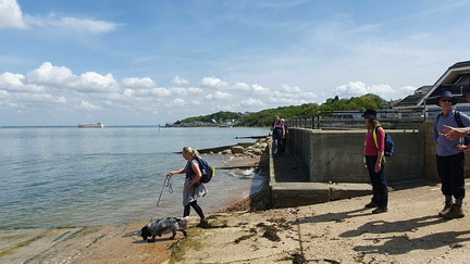 7 Wonders Walk - ‘Cowes you cannot milk’