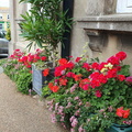 Shanklin In Bloom Award 2023 - Shanklin Theatre 2