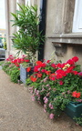 Shanklin In Bloom Award 2023 - Shanklin Theatre 2