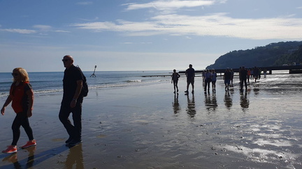 Isle of Wight Walking Festival October 2023 