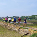 Spring walking Festival 2024 - Bembridge