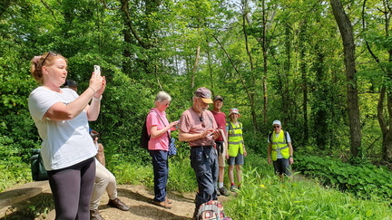 Spring walking Festival 2024 - Bembridge