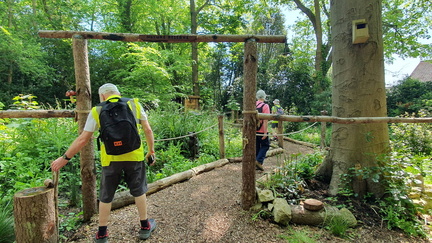Spring walking Festival 2024 - Bembridge