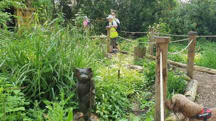 Spring walking Festival 2024 - Bembridge