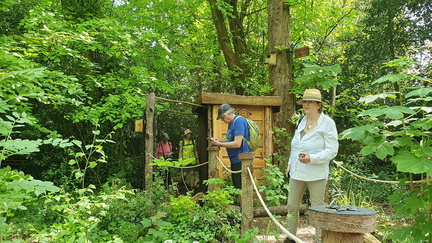 Spring walking Festival 2024 - Bembridge