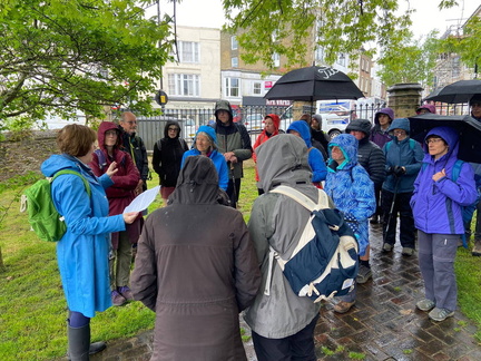 Spring walking Festival 2024 - Ryde